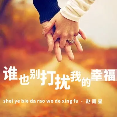 谁也别打扰我的幸福（DJ光波版）(完整版)(完整版) - 赵雨星封面