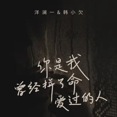 你是我曾经拼了命爱过的人封面