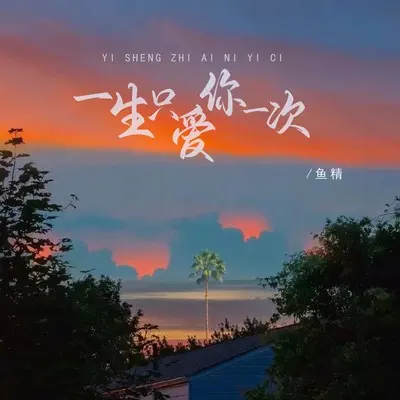 一生只爱你一次(DJ默涵版)(DJ默涵版)封面
