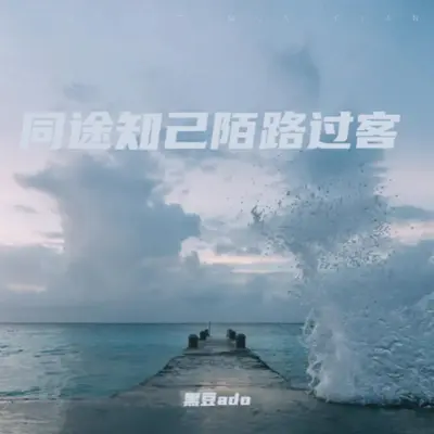 同途知己陌路过客(完整版)(完整版)封面