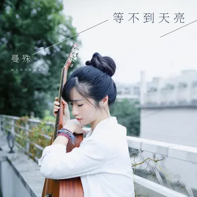 等不到天亮封面