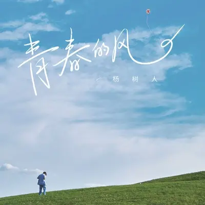 青春的风封面