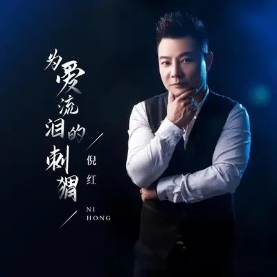 为爱流泪的刺猬(DJ九零版)(DJ九零版)封面