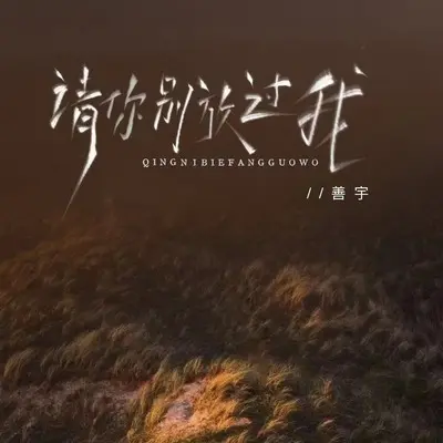 请你别放过我封面