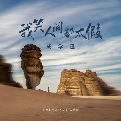 我笑人间都太假封面