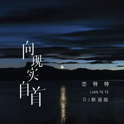 向现实自首(DJ默涵版)(DJ默涵版)封面
