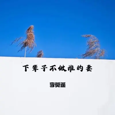 下辈子不做谁的妻(男版)(男版)封面