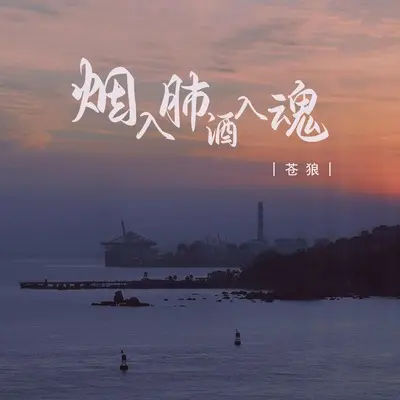 烟入肺酒入魂封面
