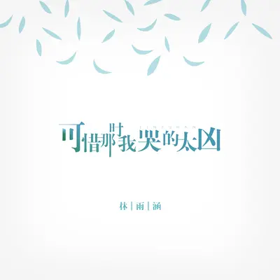 可惜那时我哭的太凶(伴奏)封面