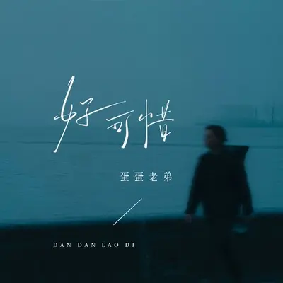 好可惜(DJ豪大大版)(DJ豪大大版)封面