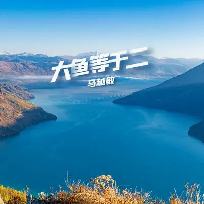 大鱼等于二封面