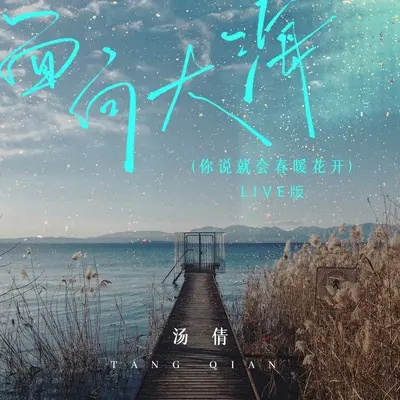 面向大海(你说就会春暖花开)(Live版)(Live版)封面