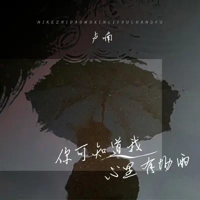 你可知道我心里有场雨封面