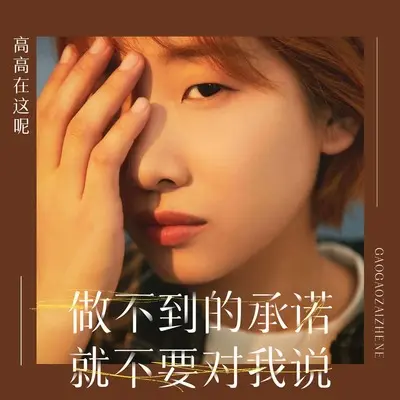做不到的承诺就不要对我说 - 高高在这呢封面