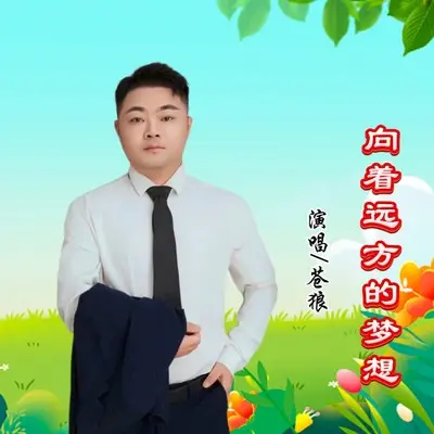 向着远方的梦想(完整版)(完整版)封面