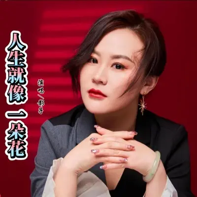 人生就像一朵花(DJ九零版伴奏)封面