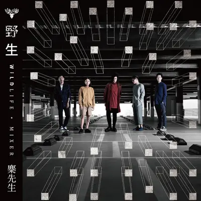 小朋友封面