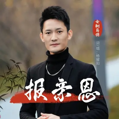 报亲恩（女驸马调伴奏） - 杨耀阳封面