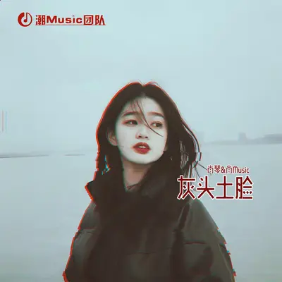 普通朋友封面