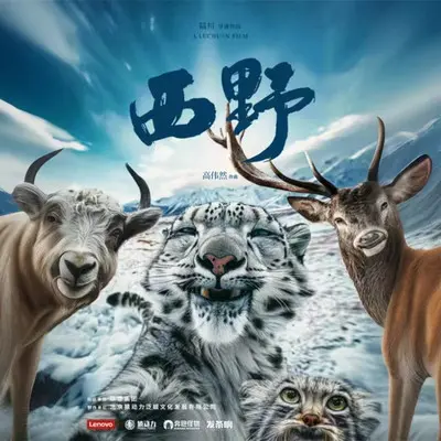 生灵封面