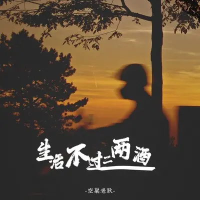 生活不过二两酒封面