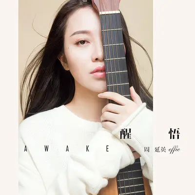 醒悟封面