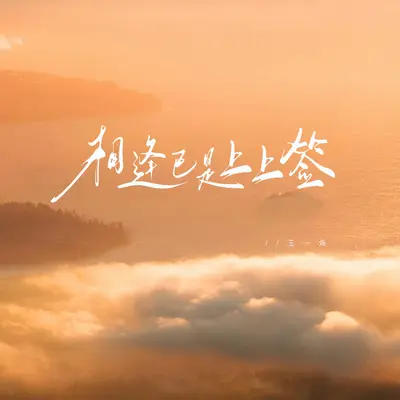 相逢已是上上签（剪辑版）封面