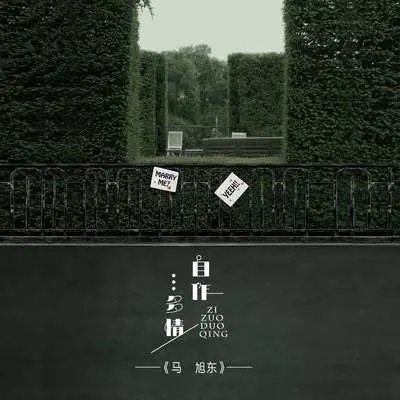 自作多情封面