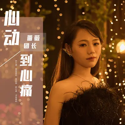 心动到心痛 (DJ阿奇版)封面