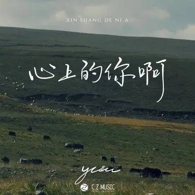 心上的你啊封面
