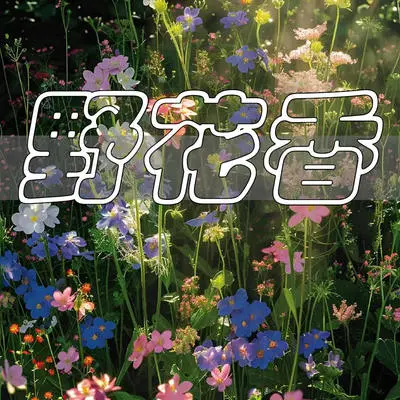 蒲公英降落在彩虹末端 - 木子林封面