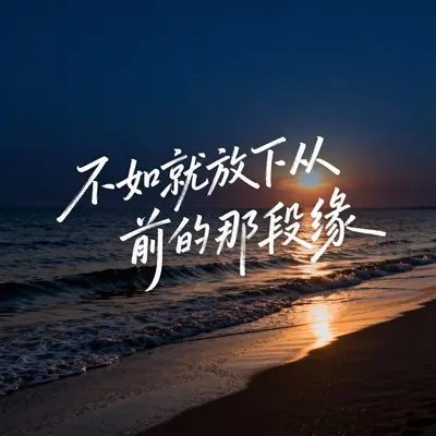 不如就放下从前的那段缘封面