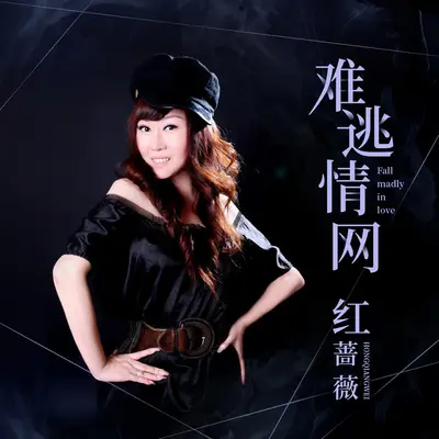 难逃情网封面