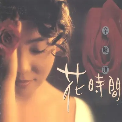远方的风信子封面