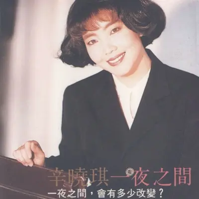 孤独的女儿 - 辛晓琪封面