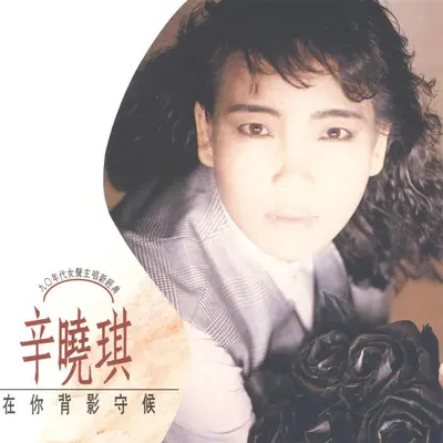 陌生的爱人 - 辛晓琪封面