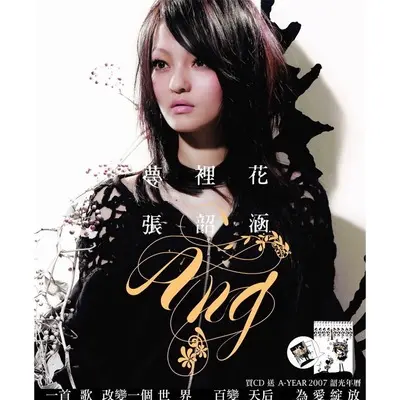 其实很爱你(电视剧《屋顶上的绿宝石》插曲)封面