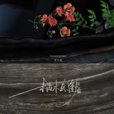 枯木会逢春封面