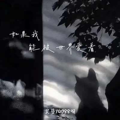 如果我能被世界爱着(0.8X)(0.8X) - 吴蔓 / 4088呀封面
