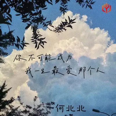你不可能成为我一生最爱那个人 - 何北北封面