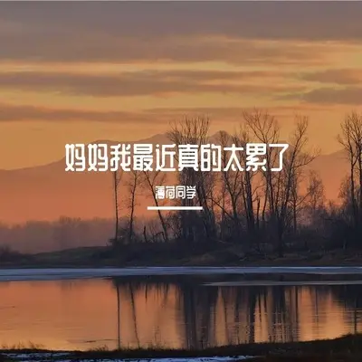 妈妈我最近真的太累了 - 薄荷同学封面