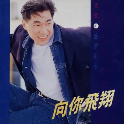 向你飞翔封面