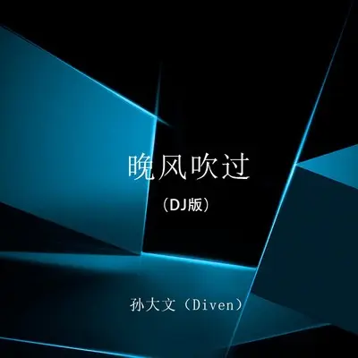 晚风吹过(DJ版本)(DJ版本)封面