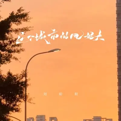 这个城市的风好大封面