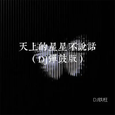 天上的星星不说话（DJ弹鼓版）封面