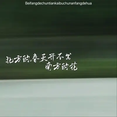 北方的春天开不出南方的花(抒情版)(抒情版)封面