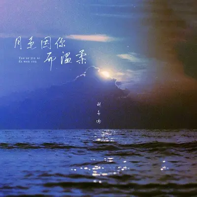 月色因你而温柔(伴奏)封面