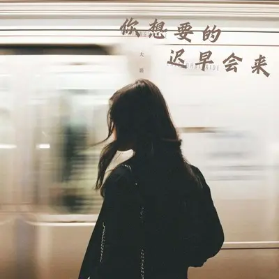 你想要的迟早会来封面