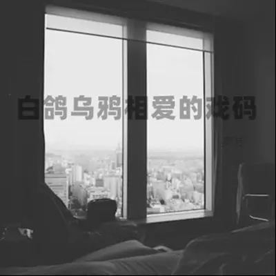 白鸽乌鸦相爱的戏码(降速版0.9X)(降速版0.9X)封面