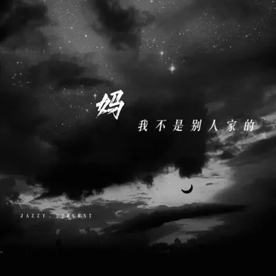 关于妈妈（妈 我不是别人家的）封面